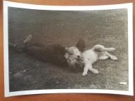 PRL kobieta i pies piękna duża [66]