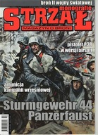 Strzał 10/2010 Amunicja małokalibrowa kampanii wrześniowej, Sturmgewehr