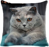 Ozdobna poszewka, jasiek na poduszki - Kot - 45 x 45 cm produkt unisex