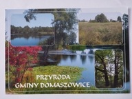 DOMASZOWICE - WIDOK - TEN PRZEDMIOT
