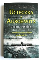 Ucieczka z Auschwitz, Andriej Pogożew