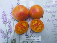 Pomidor Beauty prinses cyrusowy smak nasiona kolekcjonerskie