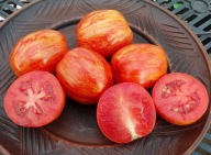 Pomidor Don Juan From Syberia niski samokończący pięknie wybarwiony