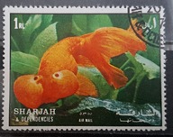 Ryby (kas) - luzak - do uzupełnień 13/6