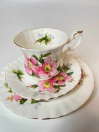 Piękna Filiżanka trio Royal Albert Prairie Rose Anglia śliczna idealna!!!