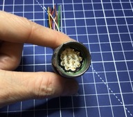 TE Inercontec gniazdo M23 z 12 pin Męskie Male Encoder