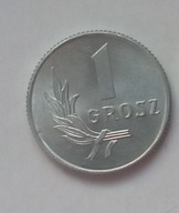 1 gr 1949 moneta PRL bez znaku mennicy