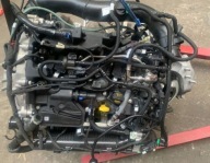 FORD KUGA MK3 FOCUS MK4 2020r 1.5 ECOBOOST SILNIK Y1DA