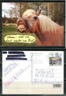 K24513)Karta Zwierzecia: Kon, wyslany