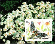 **831 FUJEIRA - NIEZĄBKOWANE - MOTYLE ? ĆMY?