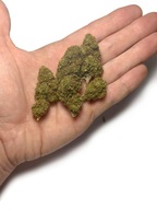 Candy Carmel CBD 1KG Susz Konopny Duże Gęste Zbite Topy PREMIUM TOP Jakość