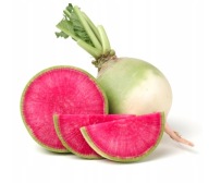 Rzodkiewka arbuzowa rzodkiew nasiona 10 szt. ***