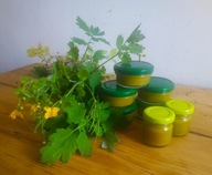 Ekologiczna Maść Glistnik Jaskółcze Ziele brodawki