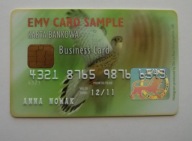 EMV CARD SAMPLE - KARTA BANKOWA PWPW