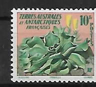 TAAF xx Z31 flora kwiaty MNH VF bok ok. przycięcie skanu