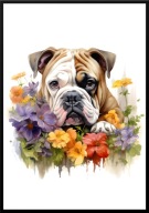 A2 PLAKAT PIES W KWIATACH RASA BULDOG ANGIELSKI