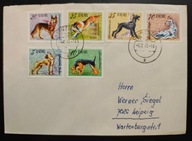 !!! KOPERTA LIST DDR PSY - PIĘKNE - STAN IDEALNY !!!