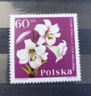 1964 fi 2396 Kwiaty ogrodowe - lilia