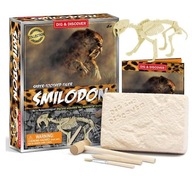 SMILODON DINOZAUR WYKOPALISKO Kreatywna zabawka 3D