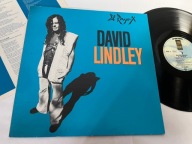 David Lindley – El Rayo-X ,,,Lp NM- 802