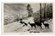 WAMBIERZYCE KAPLICZKI NA DRZEWIE MATKA BOSKA SARENKI NA ŚNIEGU