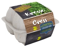 ZESTAW DO UPRAWY RZEŻUCHY W MINI DONICZKACH