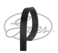 GATES Pasek klinowy wielorowkowy 6PK1975