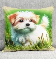 Poduszka 40/40cm Maltańczyk Maltese