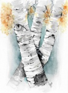 Brzozy, drzewa, akwarela, oryginał, format A4