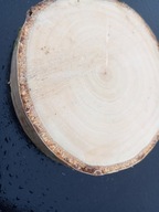 Suchy Plaster Brzozy krążek drewna 1 szt. 5-8 cm Grubość 1 cm Naturalny