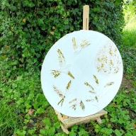 Jaskółki płatki złota obraz koło okrąg średnica 50 cm /75PatrykMit