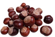 Kasztany do ozdoby ozdobne naturalne bombki szyszki choinka 50szt + GRATIS