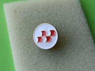 Oryg Odznaka- 4 FOULEE- Zawody Jeździeckie JUMP & DRIVE