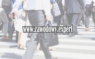 Domena Internetowa WWW.ZAWODOWY.EXPERT