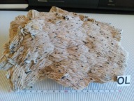 MIN 218 KRYSTALIZACJA BARYTU z CHALKOPIRYTEM