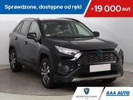 Toyota RAV 4 2.5 Hybrid, Salon Polska