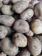 Ziemniaki jadalne od rolnika odmiana MICHALINA 15 kg