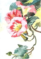 =KWIACIARNIA= Obraz =martwa natura=KWIATY=akwarela=