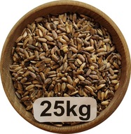 Ostropest Plamisty Konsumpcyjny/Paszowy, od Rolnika, Polski, 25kg, 2025r