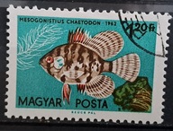 Ryby (kas) - luzak - do uzupełnień 13/5