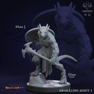 Drakkling Scout 1 - Drakklings - figurka RPG DnD D&D - druk 3D 14K