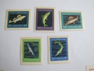 906 - 910 szlachetne gatunki ryb