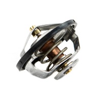 Termostat Case IH 60mm 74717126 GRANIT 84383461 2856541 2853135