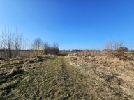 Działka, Śrem, Śrem, Śremski, 8884 m²