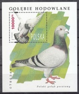 1994 Gołębie hodowlane Fi blok 156 **