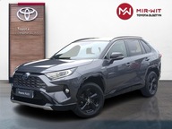 Toyota RAV4 2.5 Hybrid Selection 4x2 V (2018-) Toy