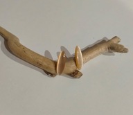 kolczyki pomarańczowy kwarc kocie oko srebro 925