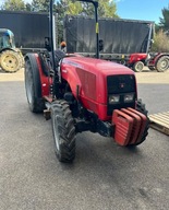 Massey Ferguson 3435 S Ciagnik sadowniczy do tuneli