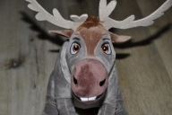 pluszak maskotka piękny renifer Sven Kraina Lodu 40 cm