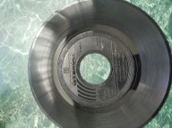 Płyta winylowa Zjednoczone Siły Natury MECH